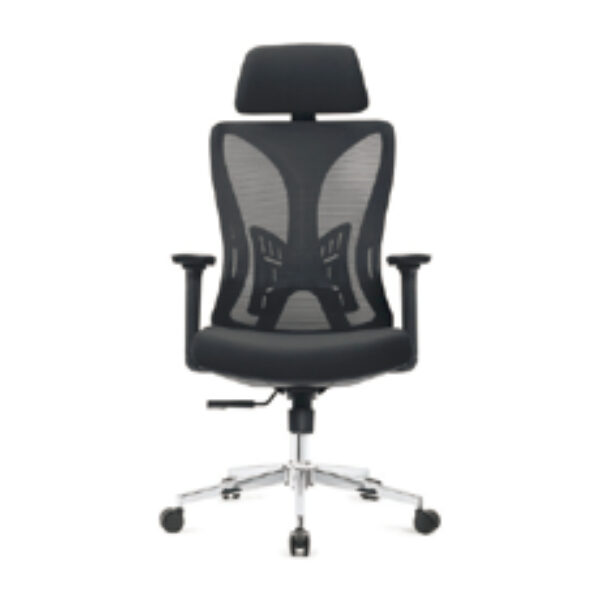 Advanced Ergonomic Black Mesh Chair