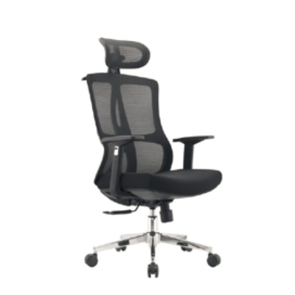 Advanced Ergonomic Mesh Office Chair