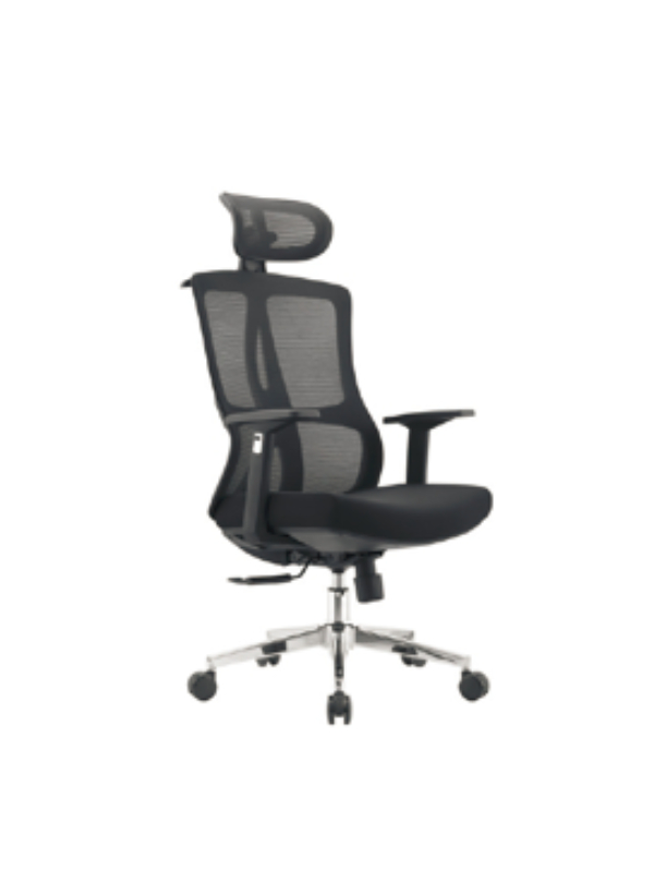 Advanced Ergonomic Mesh Office Chair