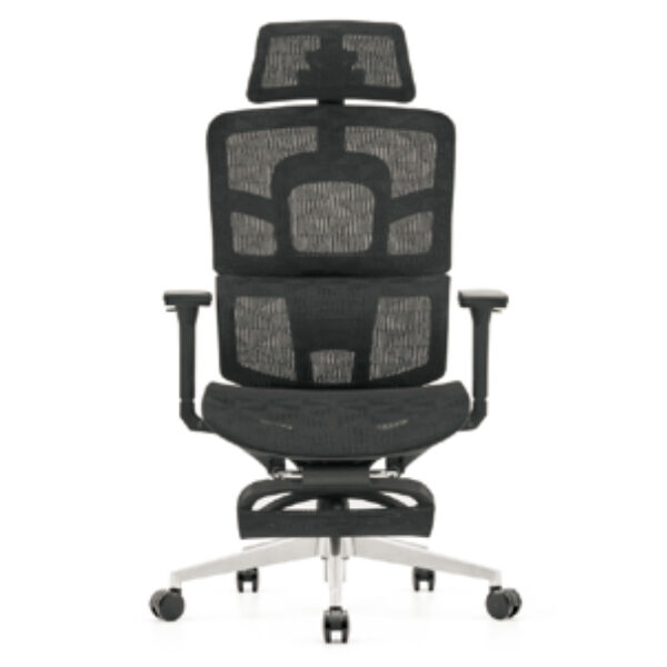 Ergonomic Mesh Office Chair with Adjustable Headrest