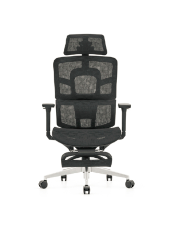 Ergonomic Mesh Office Chair with Adjustable Headrest