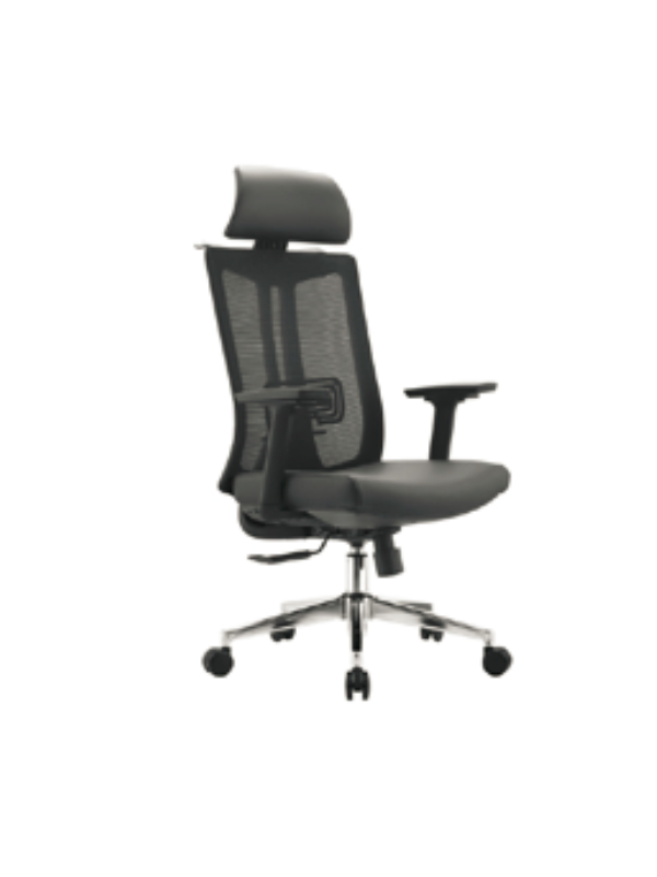 Ergonomic Swivel Chair with Advanced Back Support