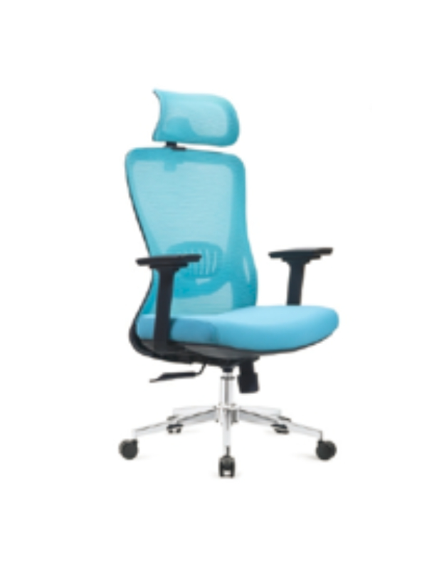 Modern Teal Mesh Ergonomic Office Chair