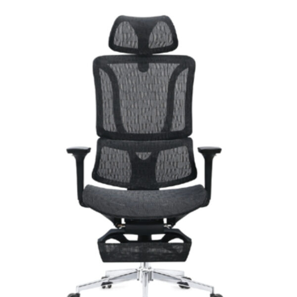 Modern Wooden Dining Chair