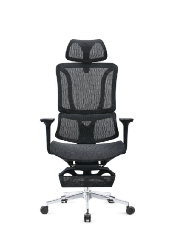 Modern Wooden Dining Chair