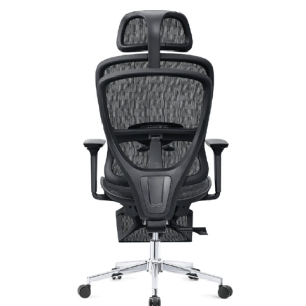 Refined Comfort Meets Modern Aesthetics