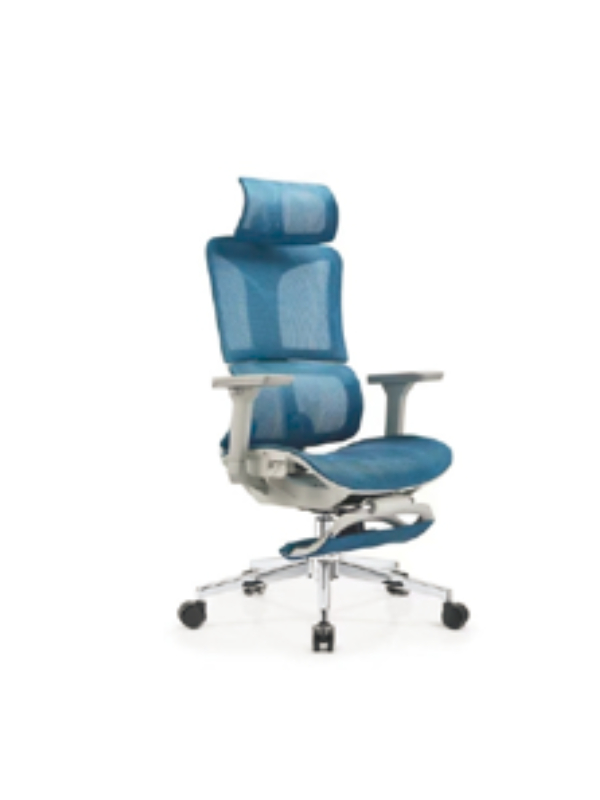Stay Cool & Supported All Day with Our Blue-White Ergonomic Mesh Chair