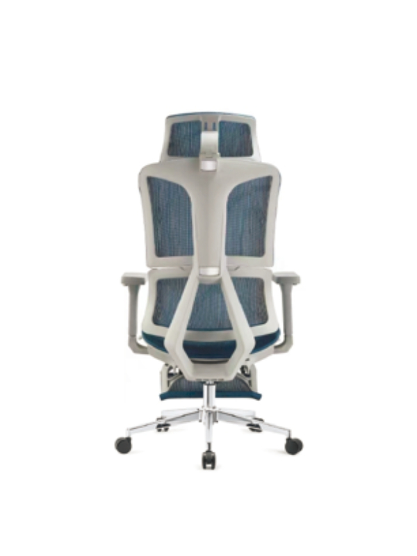 White Frame & Blue Backrest with Adjustable Headrest